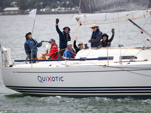 QuiXotic